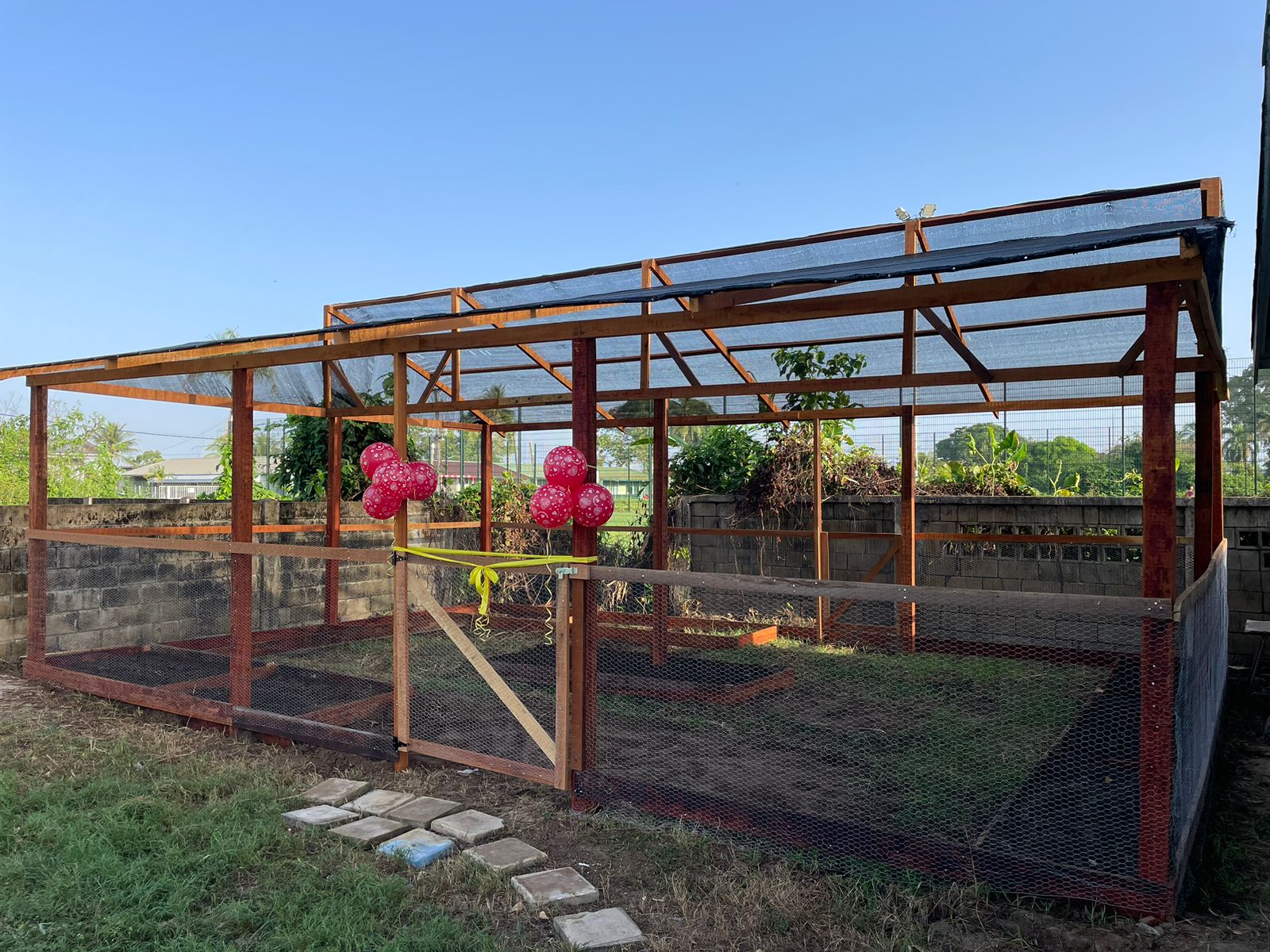 Kweekkas-project in Suriname, mede mogelijk gemaakt door SLWS